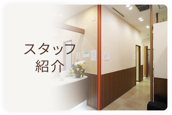 スタッフ紹介