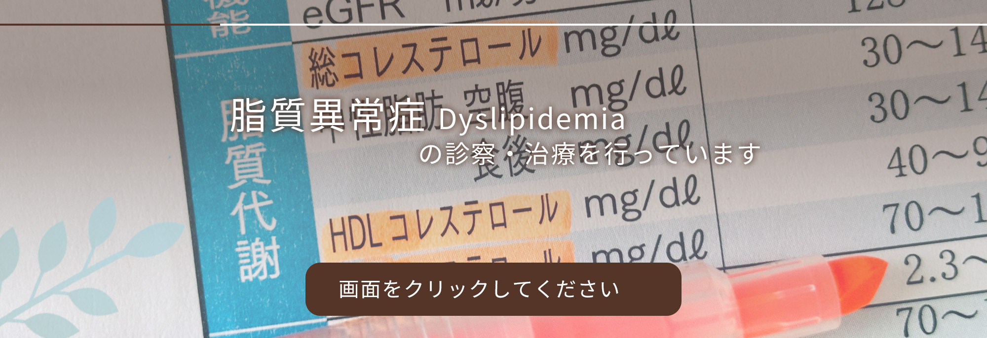 脂質異常症の診察・治療を行っています
